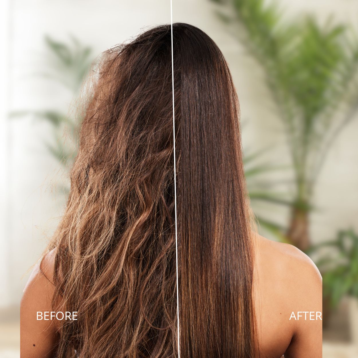 BotaniCustom Waterless Hair Cream