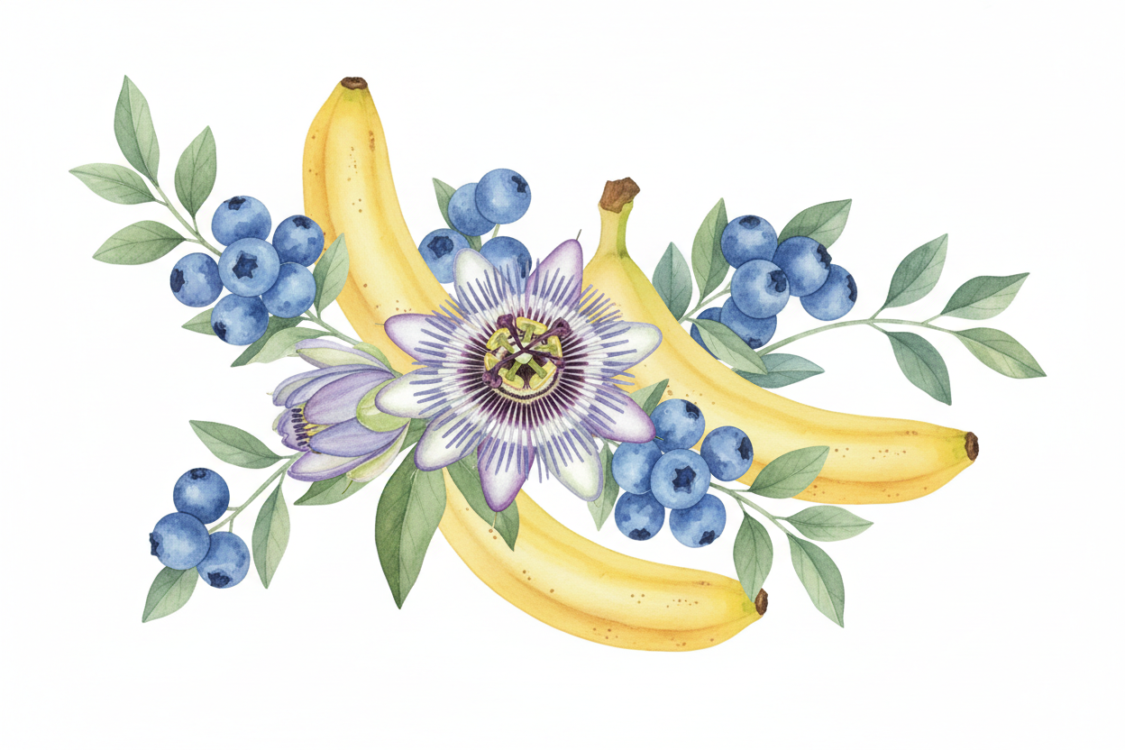 a watercolor botanical illustration of Passionflower, Blueberry & Banana Extracts together with white background. no texts. Do not peel banana.